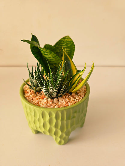 Legged Textured Planter - Plantcultcairo