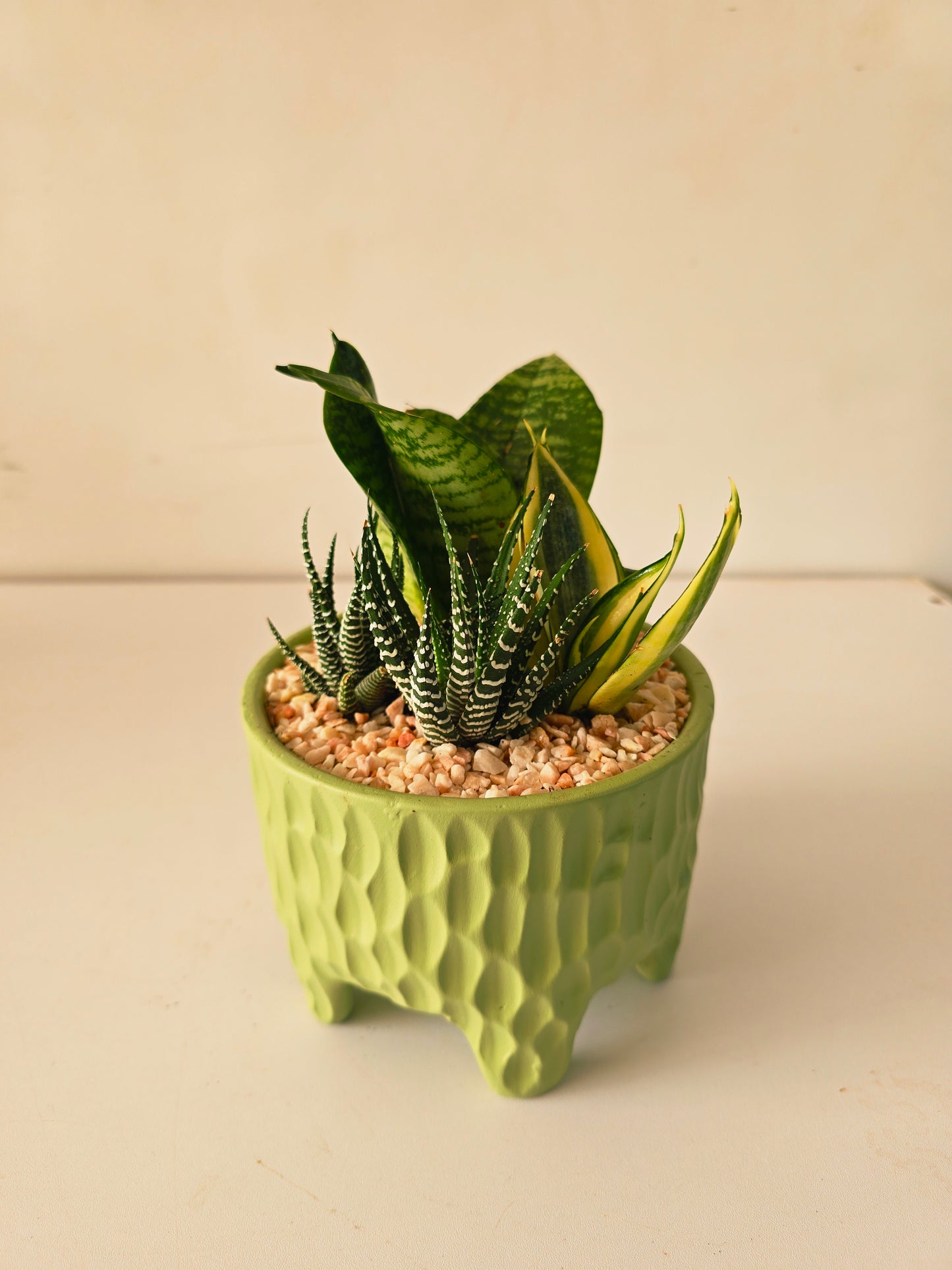Legged Textured Planter - Plantcultcairo