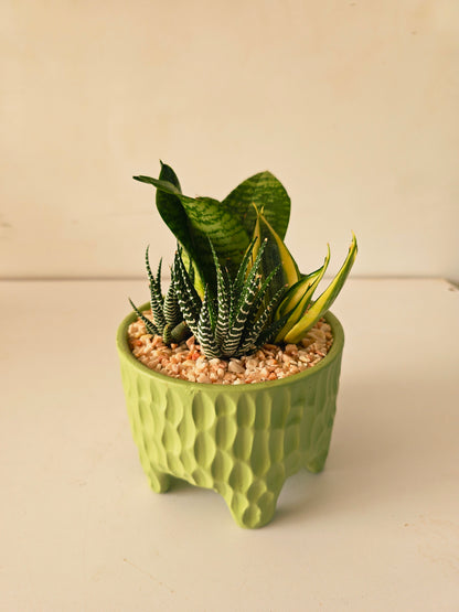 Legged Textured Planter - Plantcultcairo