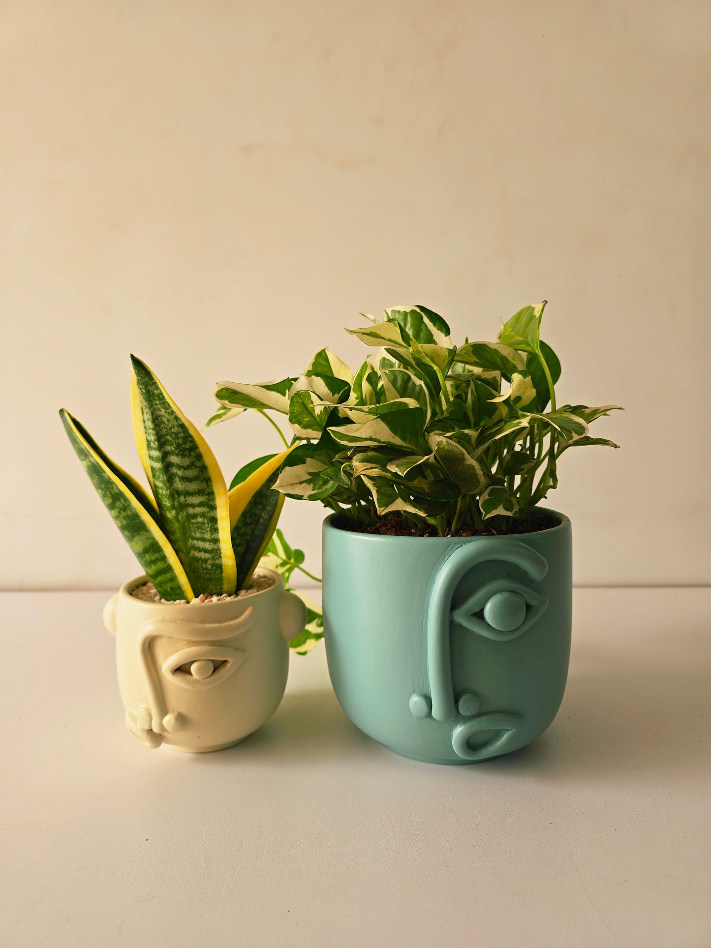 Puzzled Cosmo Planter - Plantcultcairo