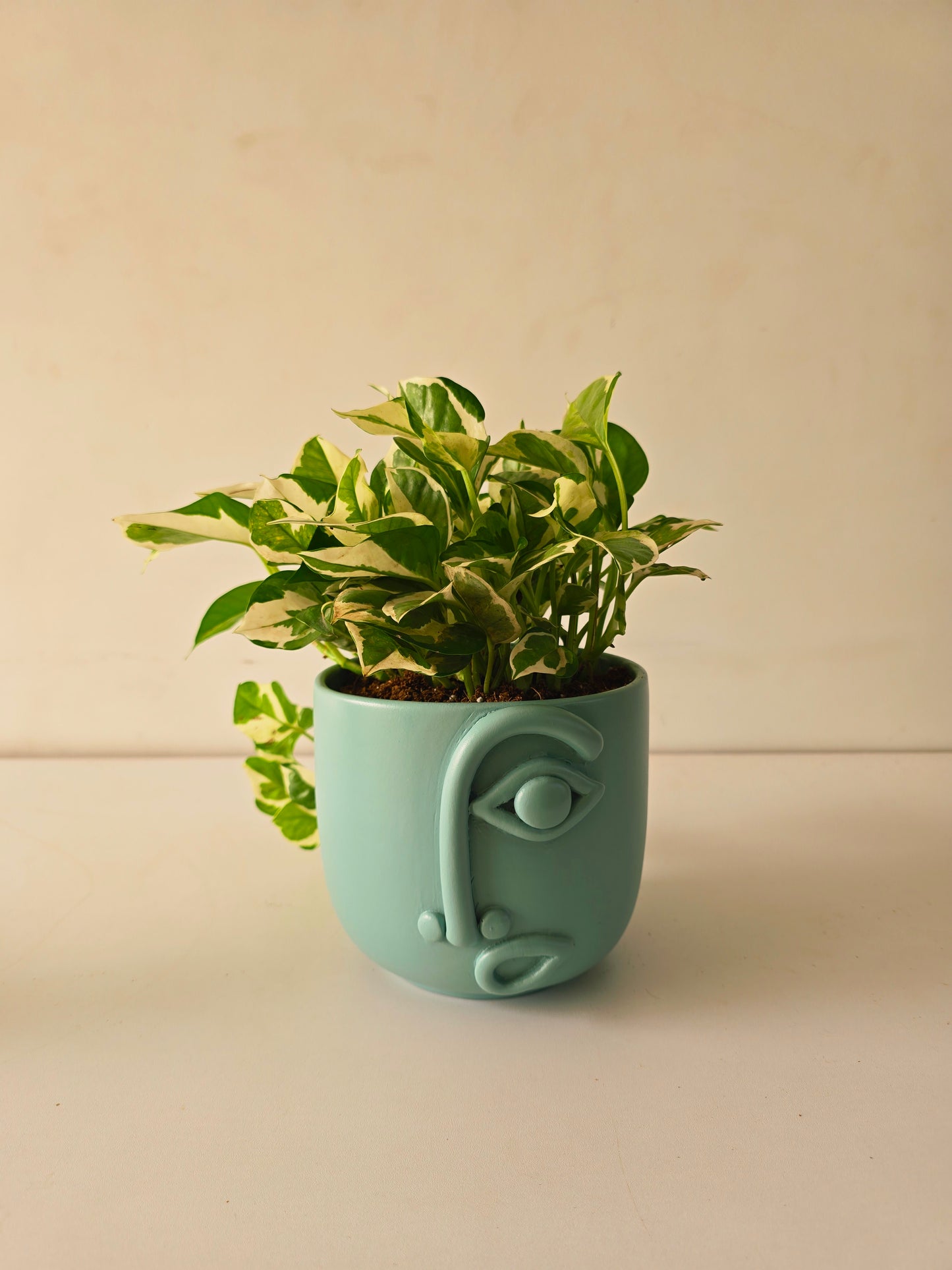 Puzzled Cosmo Planter - Plantcultcairo