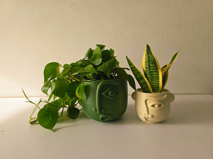 Puzzled Cosmo Planter - Plantcultcairo