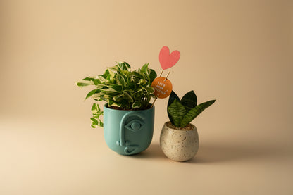 Puzzled Cosmo Planter - Plantcultcairo