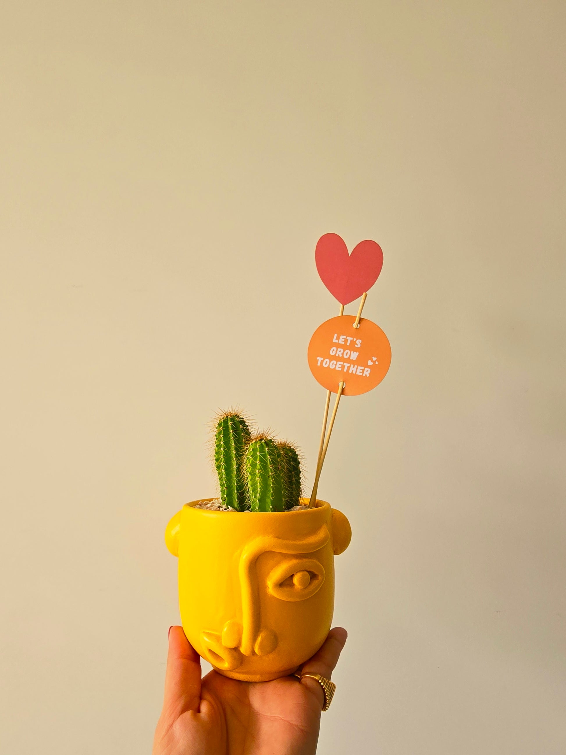 Puzzled Cosmo Planter - Plantcultcairo