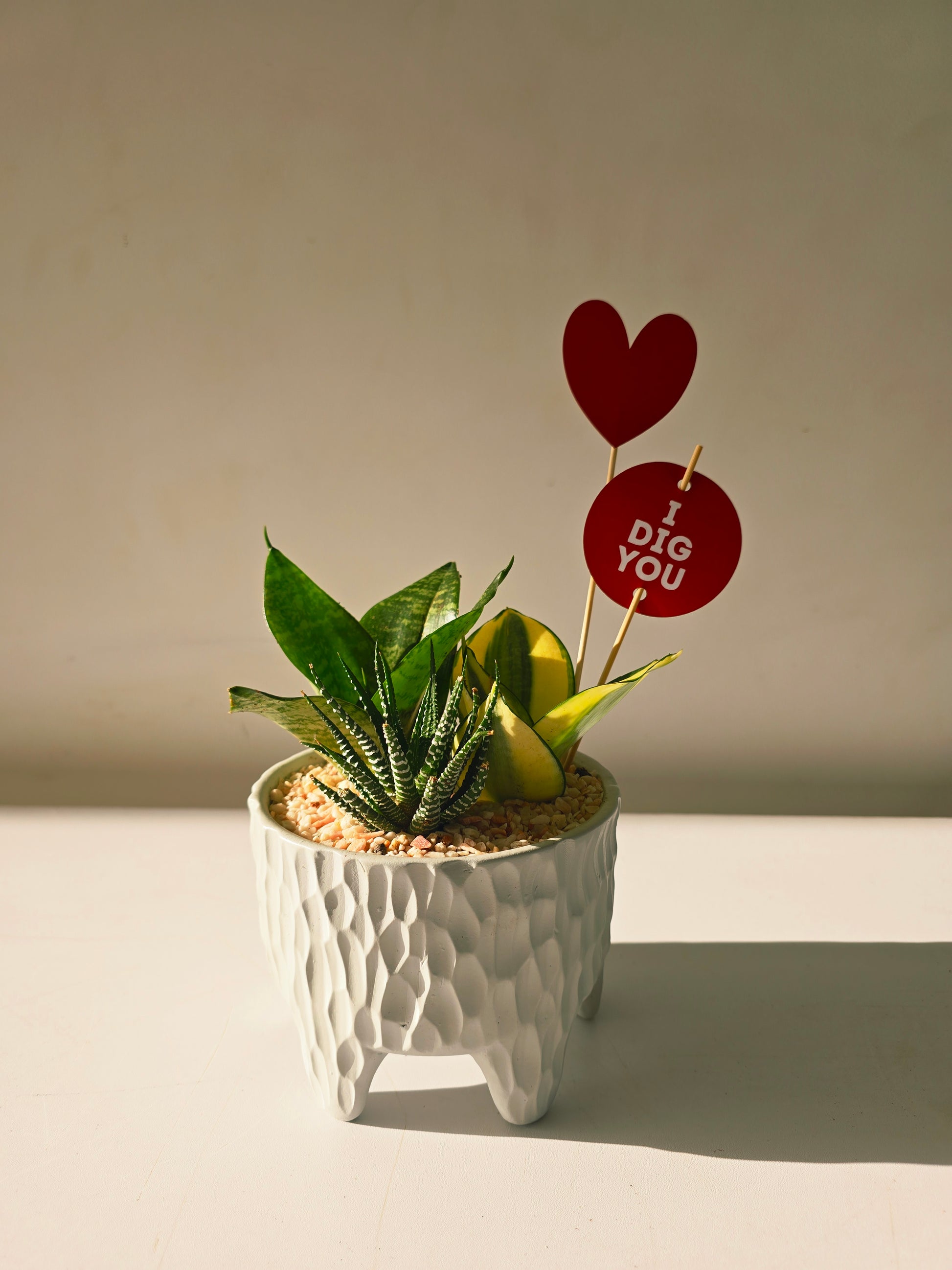 Legged Textured Planter - Plantcultcairo