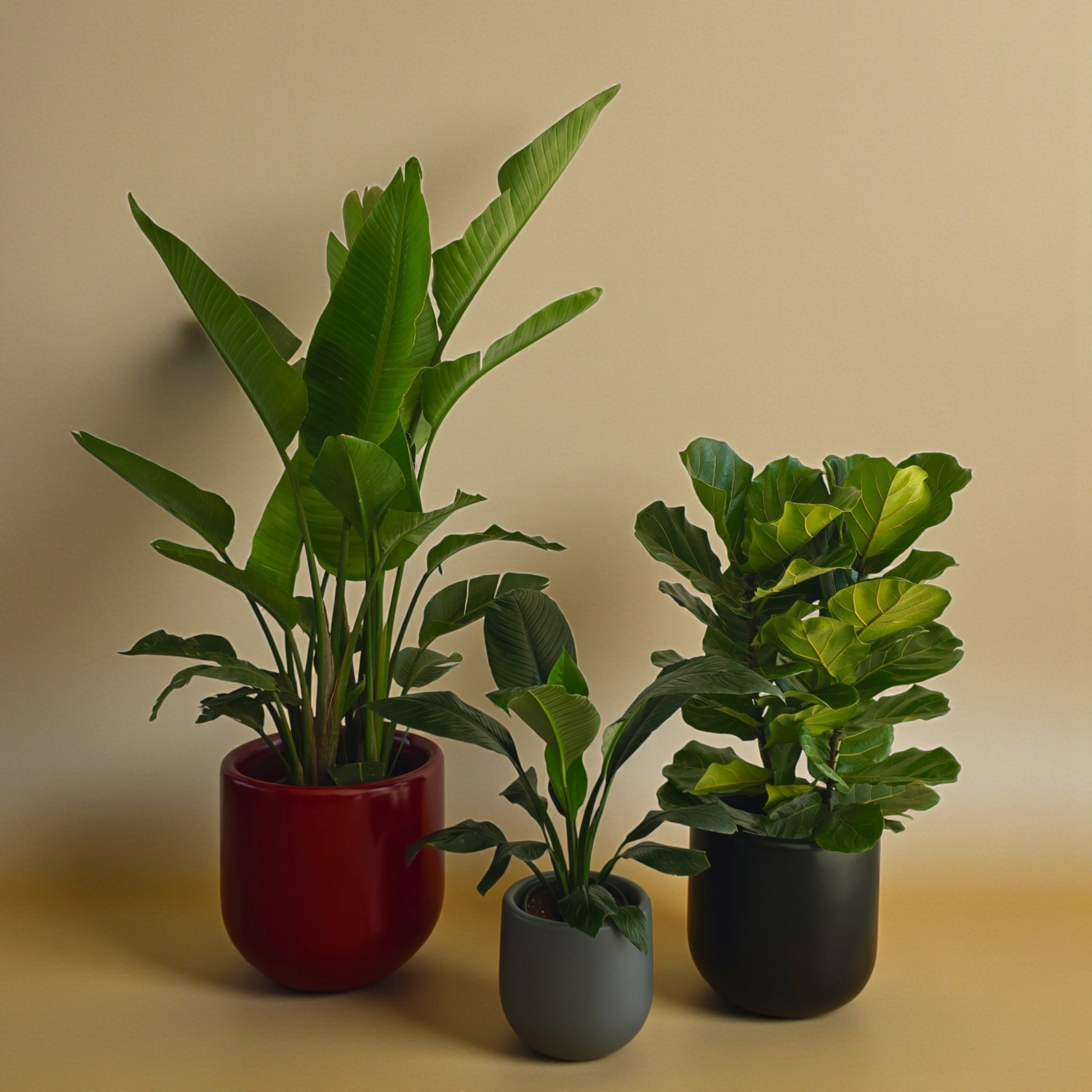 Large Fiberglass Trio - Plantcultcairo