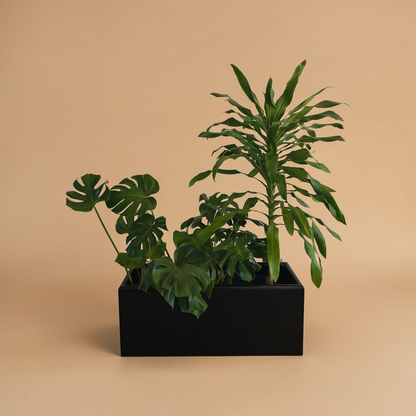 Potted Rectangular Pots - Plantcultcairo