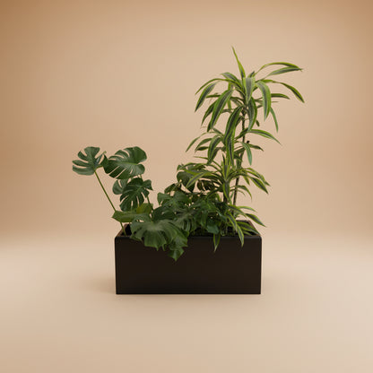 Potted Rectangular Pots - Plantcultcairo