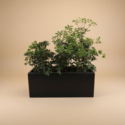 Potted Rectangular Pots - Plantcultcairo