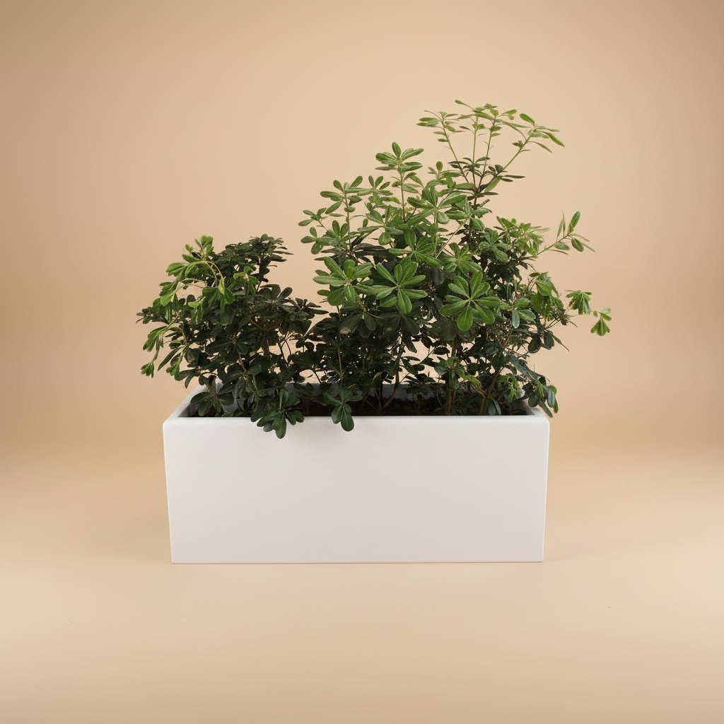 Potted Rectangular Pots - Plantcultcairo