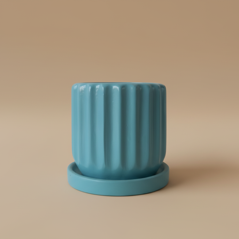 Ribbed Pot - Plantcultcairo