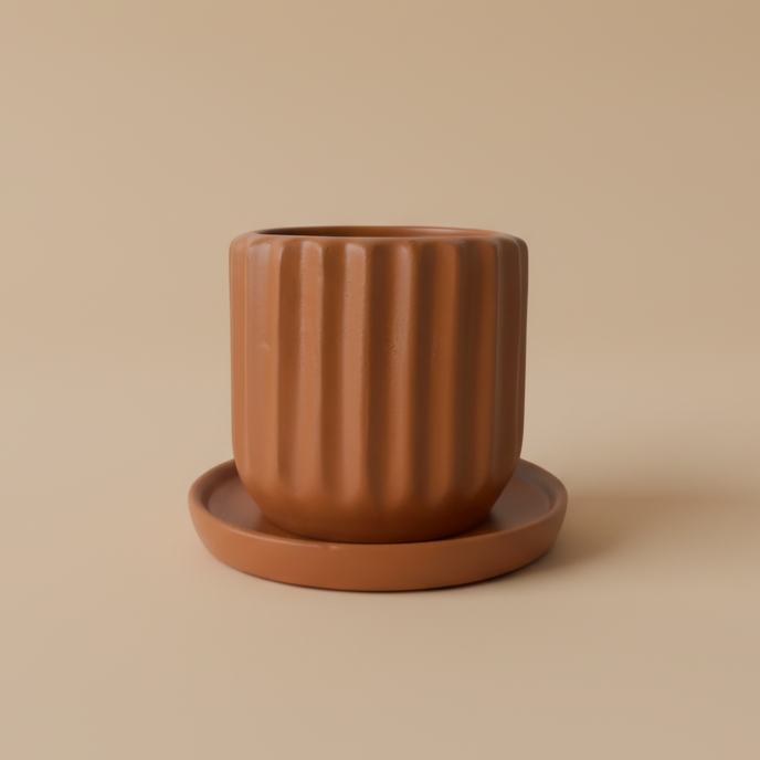 Ribbed Pot - Plantcultcairo