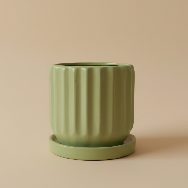 Ribbed Pot - Plantcultcairo