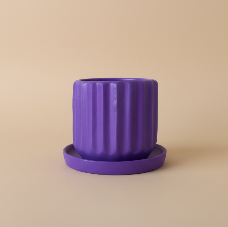 Ribbed Pot - Plantcultcairo