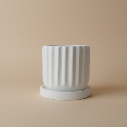 Ribbed Pot - Plantcultcairo
