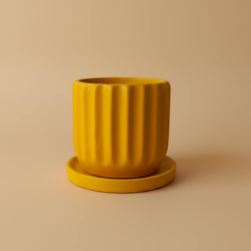 Ribbed Pot - Plantcultcairo