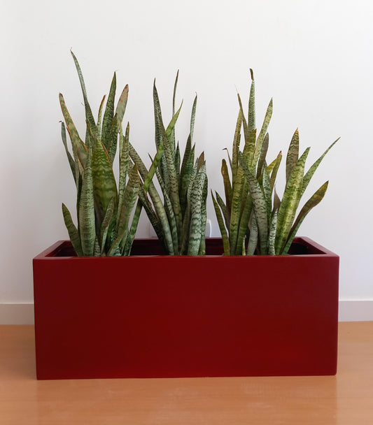 Rectangular Fiber Pots
