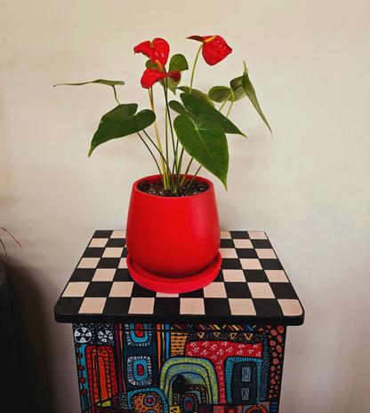 Red Anthurium