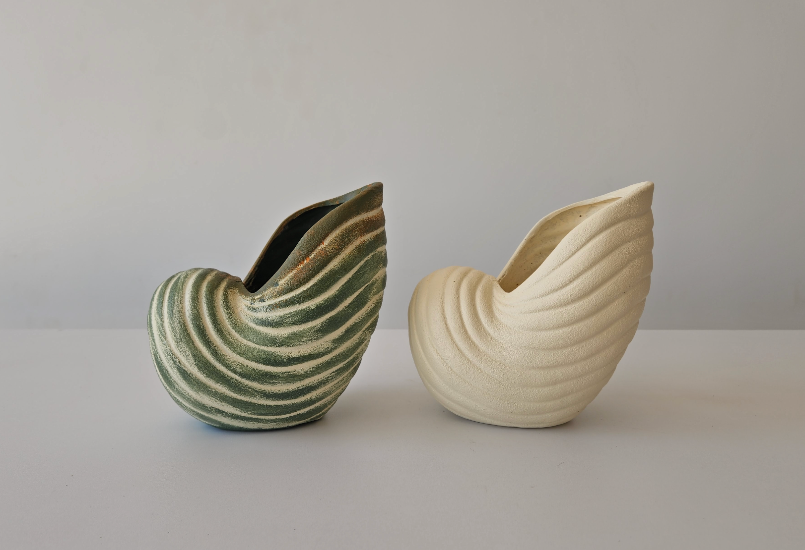 Shell Planter – Plantcultcairo