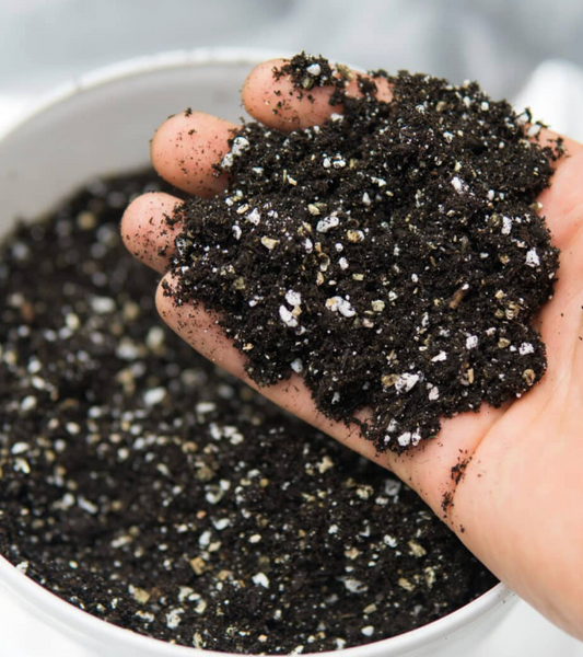 Potting Soil