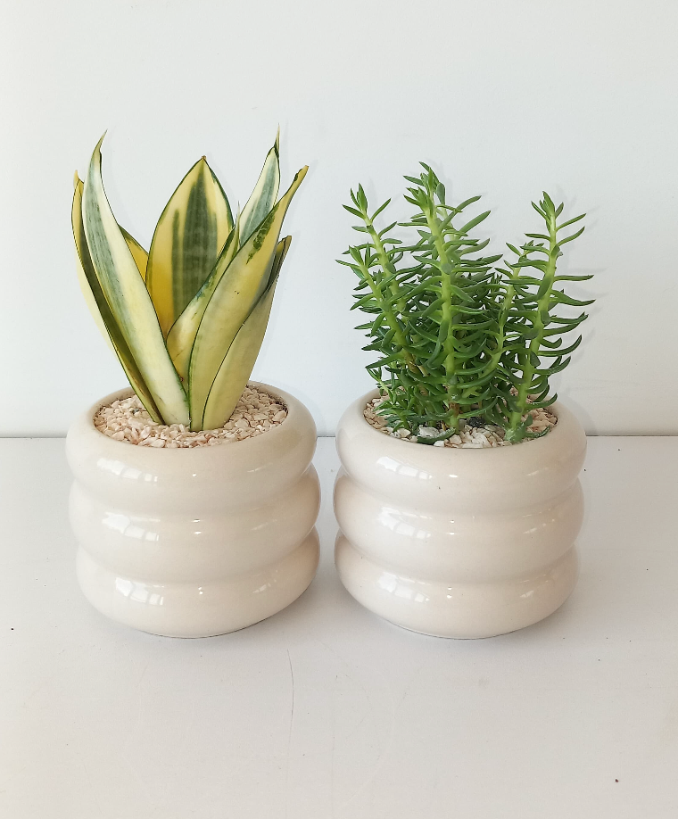 Bubbly Mini Planter