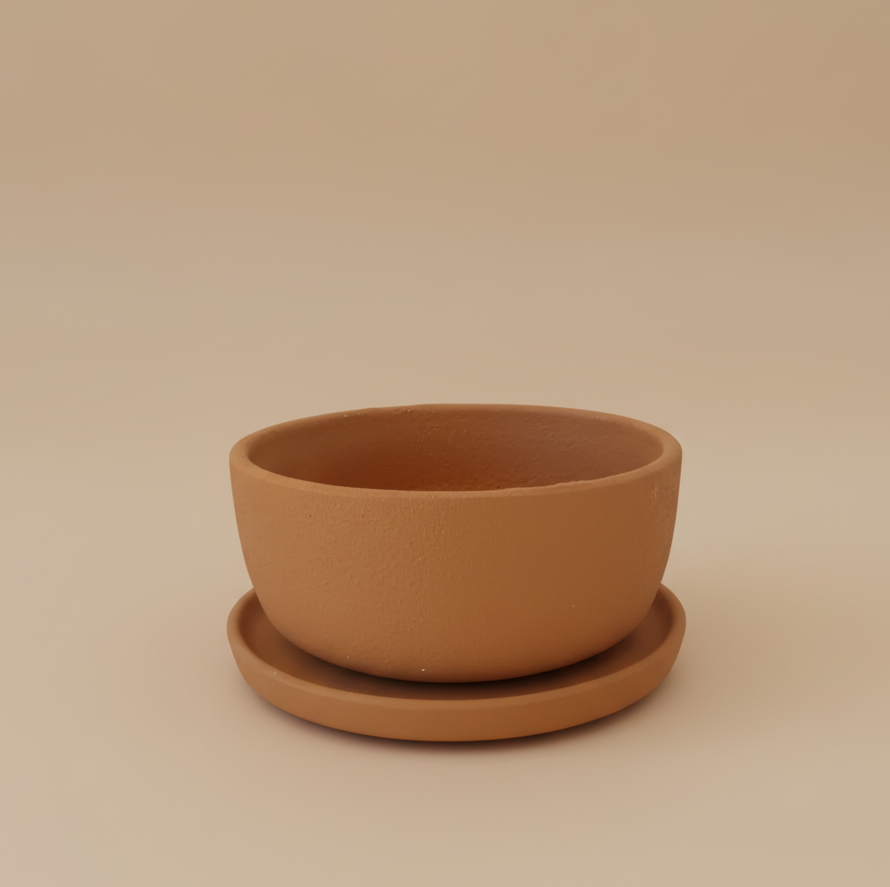 Bowl Planter - Plantcultcairo