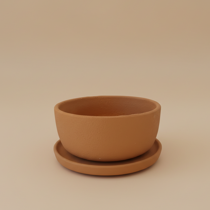 Bowl Planter - Plantcultcairo