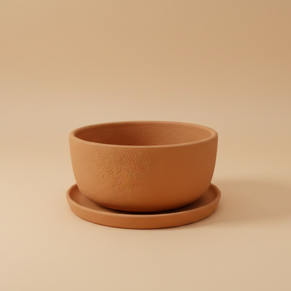 Bowl Planter - Plantcultcairo