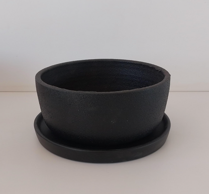 Bowl Planter