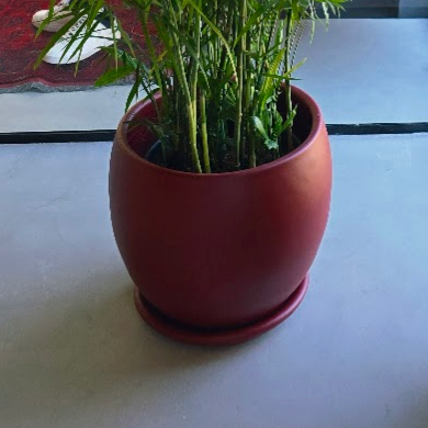 Curvy Planter Multiple sizes