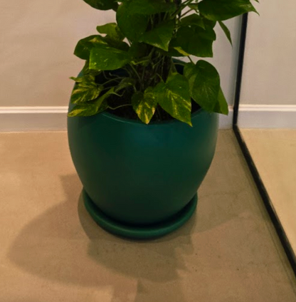 Curvy Planter Multiple sizes