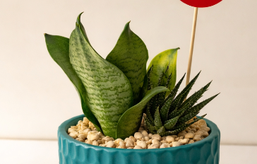 Legged Textured Planter - Plantcultcairo