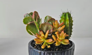 Legged Textured Planter - Plantcultcairo