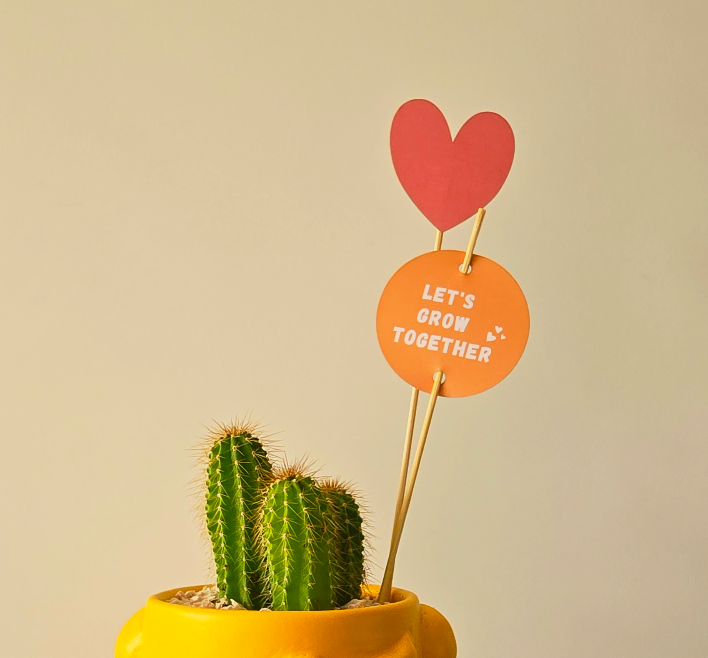 Gifting Sticks - Plantcultcairo