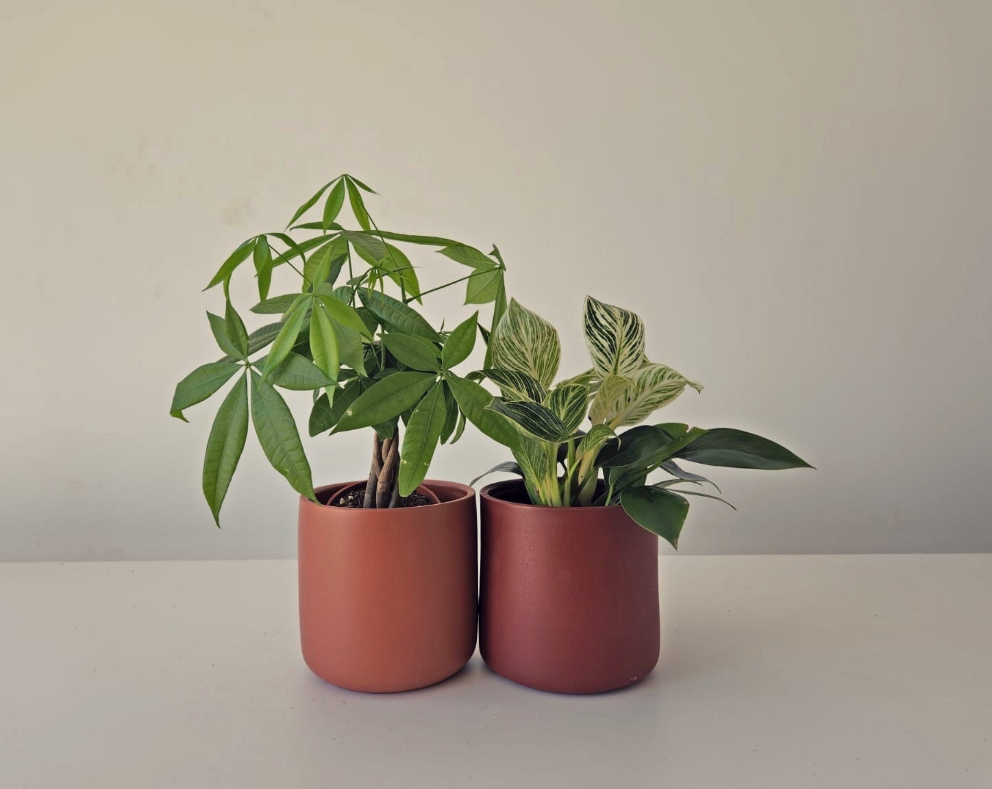 Cylinder 15cm Planters