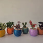 Mini Pot 10cm