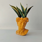 Snake Plant Golden Flame