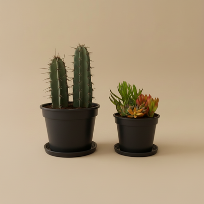 Outdoor Duo, Medium - Plantcultcairo