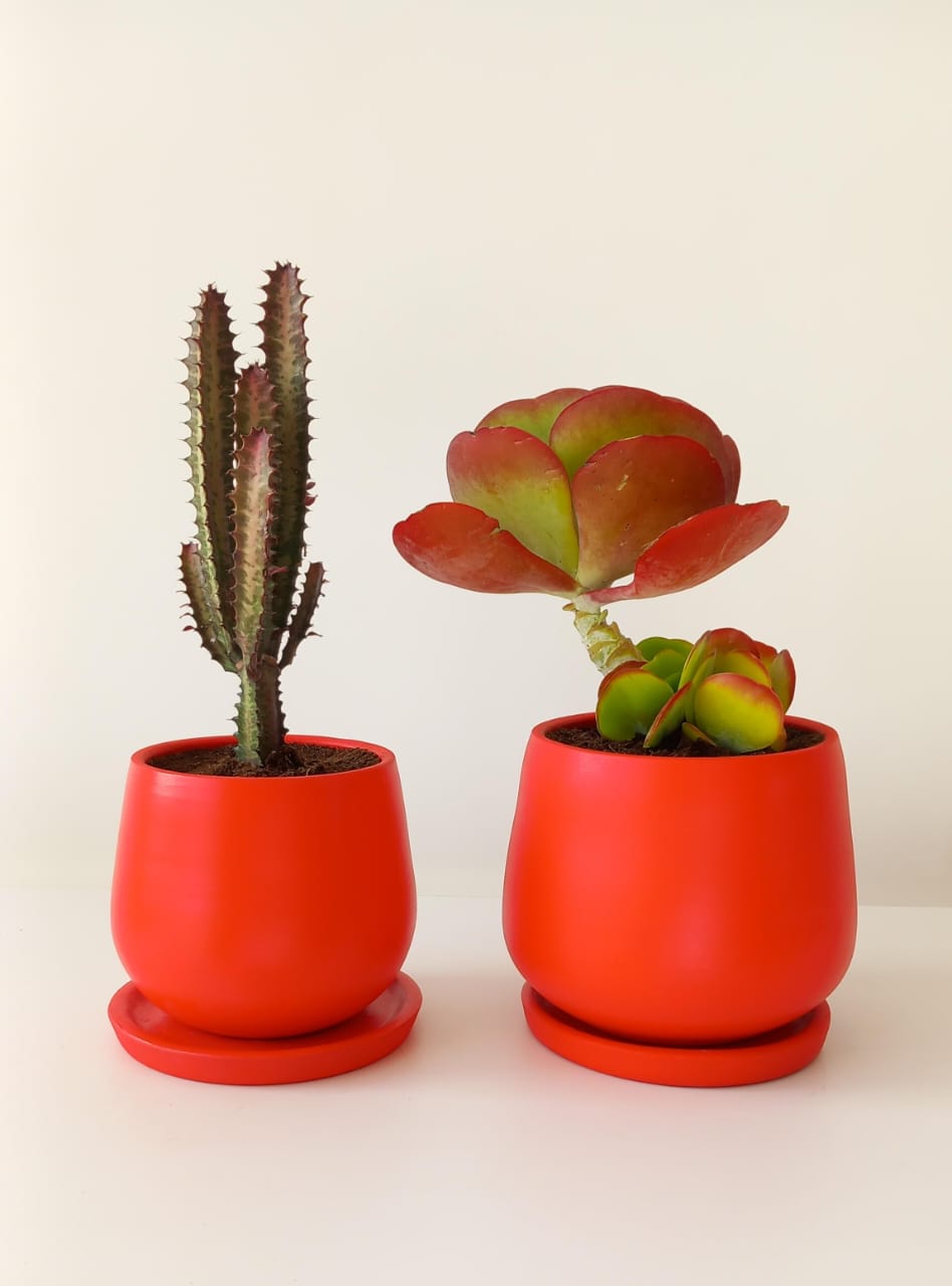 Outdoor Duo, Medium size - Black plastic pot