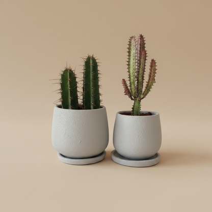 Outdoor Duo, Medium - Plantcultcairo