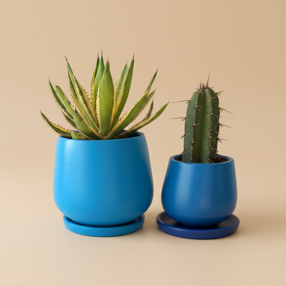 Outdoor Duo, Medium - Plantcultcairo