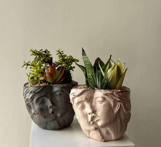 Pre Potted Kissbound