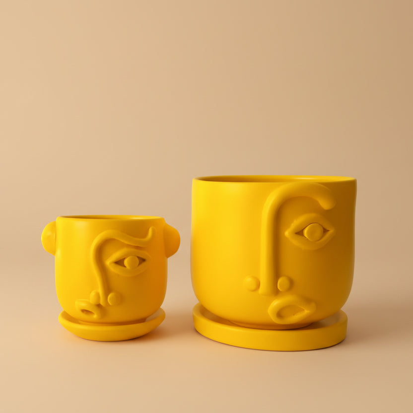 Puzzled Cosmo Planter - Plantcultcairo