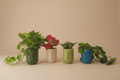 Cosmo Planter - Plantcultcairo