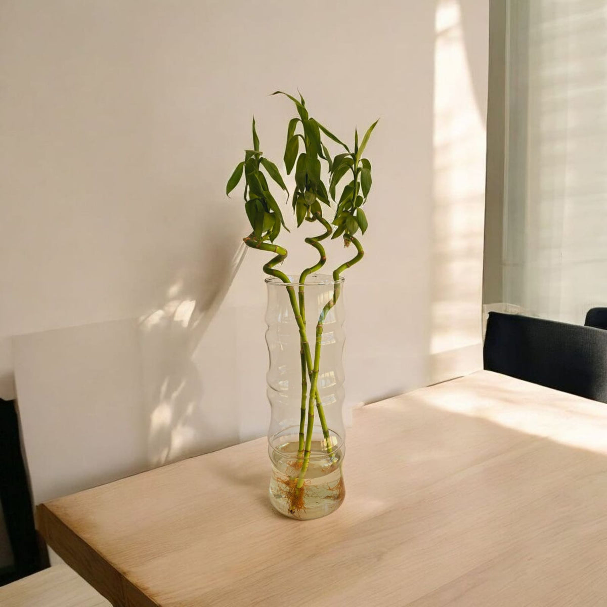 Glass Vase - Plantcultcairo