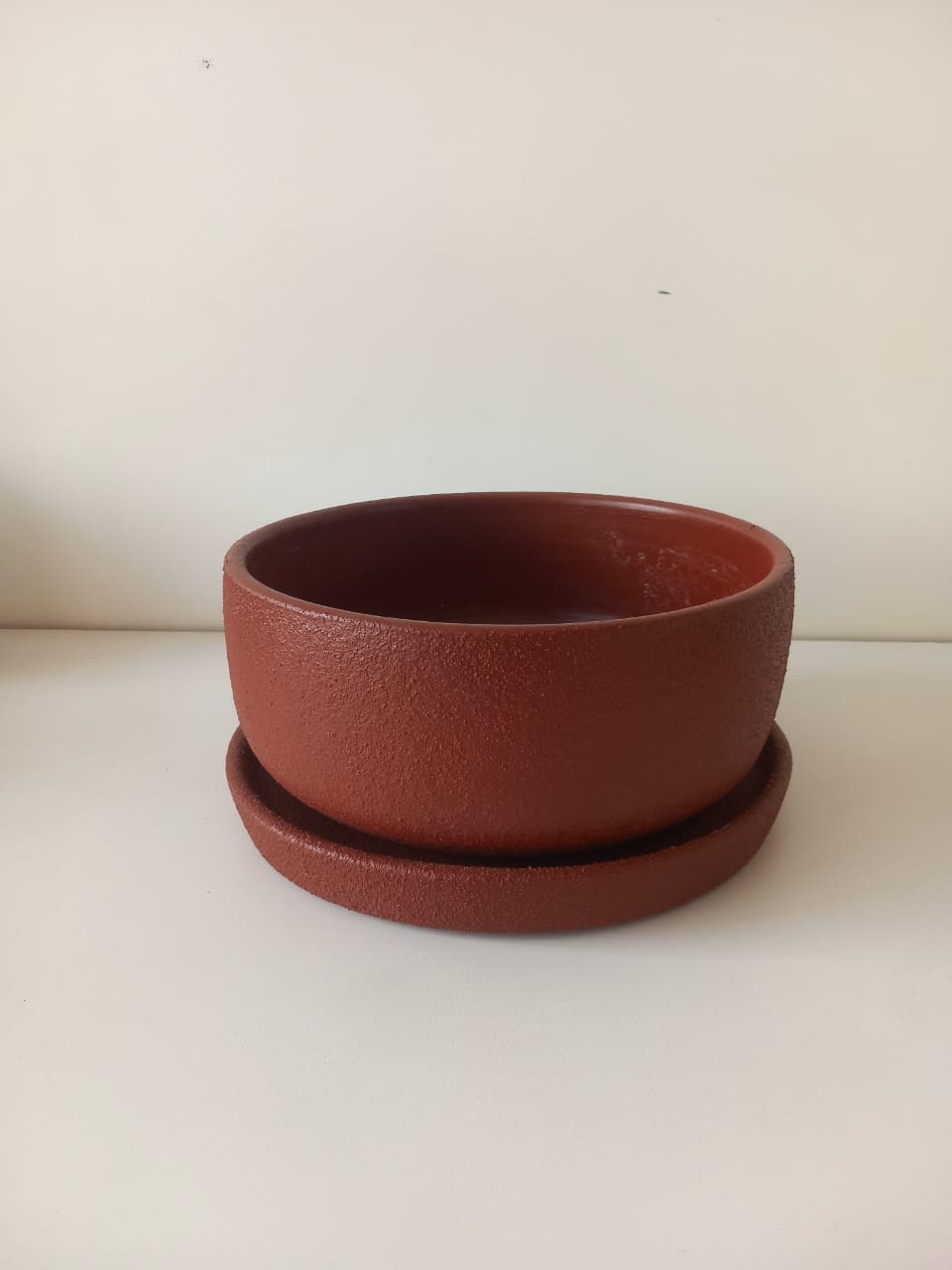 Potted Bowl Planter - Plantcultcairo