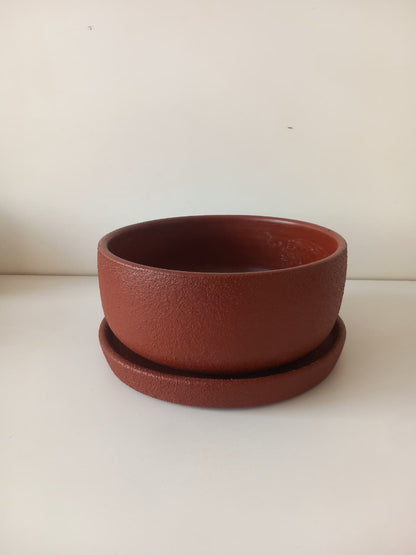 Potted Bowl Planter - Plantcultcairo