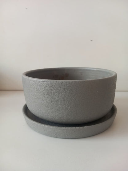 Bowl Planter
