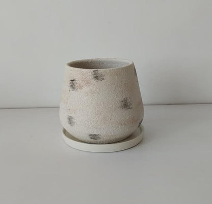 Modern 20cm Pot