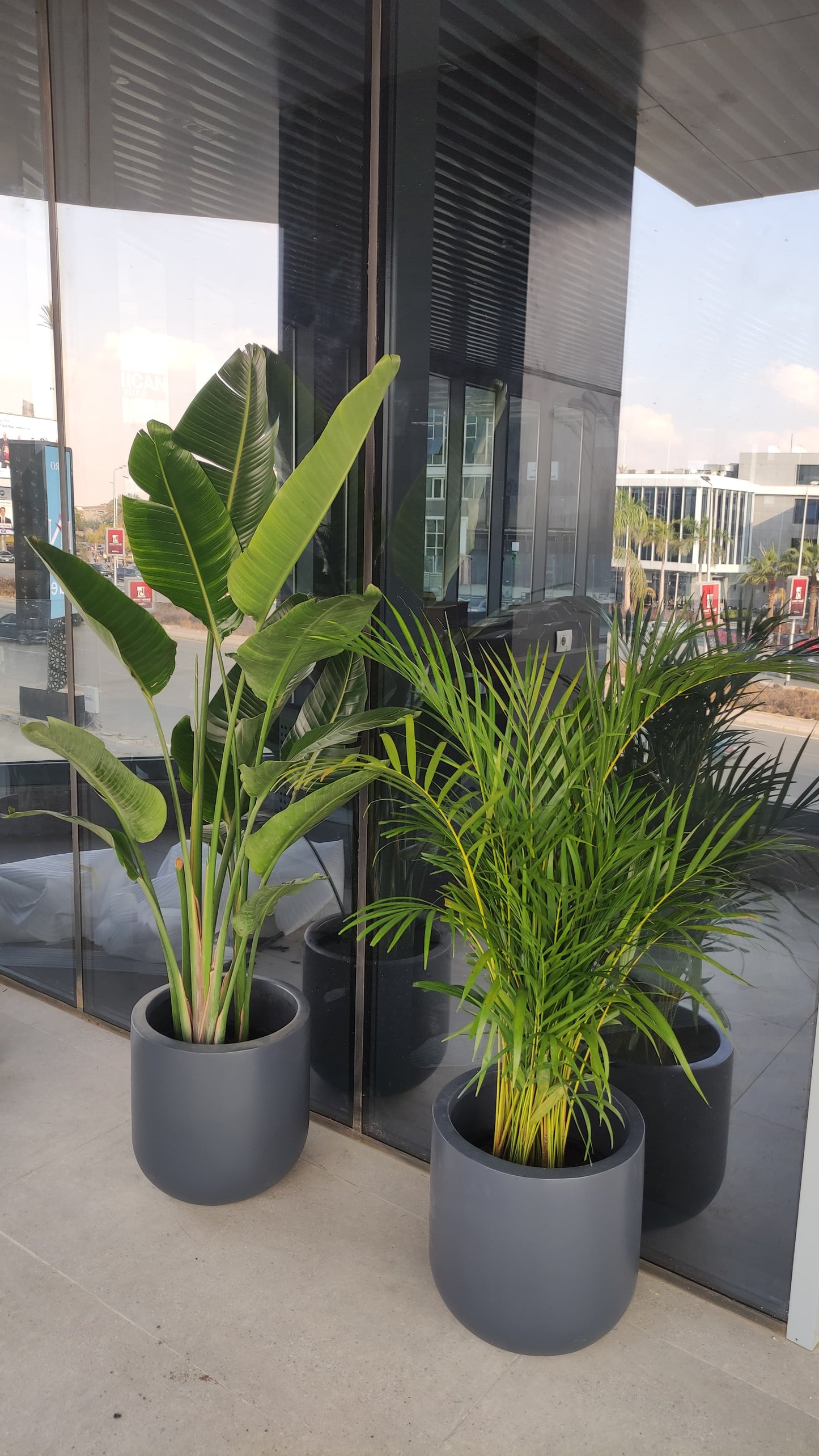 Large Fiberglass Trio - Plantcultcairo